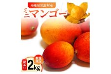 ＜2025年7月から順次発送＞数量限定の訳ありミニマンゴー2kg【1634015】