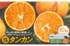 ＜2026年1月から順次発送＞ゆいゆい国頭が厳選した国頭村産タンカン10kg【1651882】