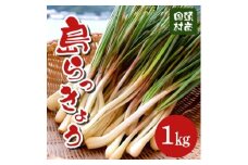 ＜2026年2月中旬から順次発送＞産地直送!沖縄おつまみの定番の島らっきょう1kg【1584610】