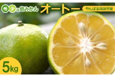 ＜2025年10月から順次発送＞やんばる国頭村産 希少な島みかん「オートー」5kg【1662092】