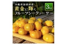 ＜2026年1月から順次発送＞黄金に輝くフルーツシークヮーサー 3kg【1662110】