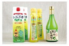 【大宜味村】シークヮーサーセット2
