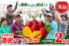 【2025年発送】濃密マンゴー《秀品・2kg以上》大宜味村農家さんから直送 秀品 先行予約 沖縄 甘味 糖度 濃厚 おいしい お土産 まんごー アーウィン 果物 くだもの 果実 送料無料 ふるさと納税 ２キロ トロピカル 化粧箱入り 食べ物 フルーツ