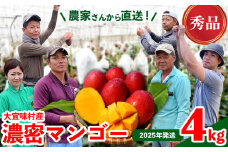 【2025年発送】濃密マンゴー《秀品・4kg以上》大宜味村農家さんから直送 秀品 先行予約 沖縄 甘味 糖度 濃厚 おいしい お土産 まんごー アーウィン 果物 くだもの 果実 送料無料 ふるさと納税 ４キロ トロピカル 化粧箱入り 食べ物 フルーツ