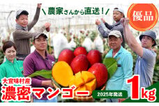 【2025年発送】濃密マンゴー《優品・1kg以上》大宜味村農家さんから直送！ 優品 先行予約 沖縄 甘味 糖度 濃厚 おいしい お土産 まんごー アーウィン 果物 くだもの 果実 送料無料 ふるさと納税 １キロ トロピカル 化粧箱入り 食べ物 フルーツ