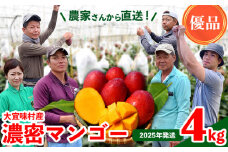 【2025年発送】濃密マンゴー《優品・4kg以上》大宜味村農家さんから直送！ 優品 先行予約 沖縄 甘味 糖度 濃厚 おいしい お土産 まんごー アーウィン 果物 くだもの 果実 送料無料 ふるさと納税 ４キロ トロピカル 化粧箱入り 食べ物 フルーツ