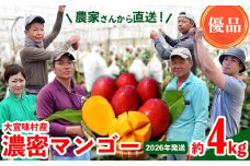 【2026年発送】濃密マンゴー《優品・約4kg》大宜味村農家さんから直送！ 優品 先行予約 沖縄 甘味 糖度 濃厚 おいしい お土産 まんごー アーウィン 果物 くだもの 果実 送料無料 ふるさと納税 ４キロ トロピカル 化粧箱入り 食べ物 フルーツ