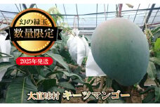 【2025年発送】大宜味村キーツマンゴー2kg以上【数量限定】 数量限定 先行予約 沖縄 甘味 糖度 濃厚 おいしい お土産 まんごー キーツ 果物 くだもの 果実 送料無料 ふるさと納税 ２キロ トロピカル 化粧箱入り 食べ物 フルーツ