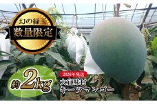 【2026年発送】大宜味村キーツマンゴー約2kg【数量限定】 数量限定 先行予約 沖縄 甘味 糖度 濃厚 おいしい お土産 まんごー キーツ 果物 くだもの 果実 送料無料 ふるさと納税 ２キロ トロピカル 化粧箱入り 食べ物 フルーツ