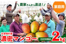 【2025年発送】ご家庭用！濃密マンゴー《家庭用・2kg以上》農家さんより直送！ 家庭用 先行予約 沖縄 甘味 糖度 濃厚 おいしい お土産 まんごー アーウィン 果物 くだもの 果実 送料無料 ふるさと納税 ２キロ トロピカル 箱入り 食べ物 フルーツ
