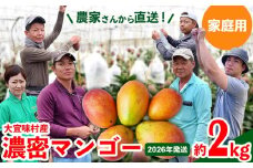 【2026年発送】ご家庭用！濃密マンゴー《家庭用・約2kg》農家さんより直送！ 家庭用 先行予約 沖縄 甘味 糖度 濃厚 おいしい お土産 まんごー アーウィン 果物 くだもの 果実 送料無料 ふるさと納税 ２キロ トロピカル 箱入り 食べ物 フルーツ