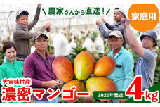 【2025年発送】ご家庭用！濃密マンゴー《家庭用・4kg以上》農家さんより直送！ 家庭用 先行予約 沖縄 甘味 糖度 濃厚 おいしい お土産 まんごー アーウィン 果物 くだもの 果実 送料無料 ふるさと納税 ４キロ トロピカル 箱入り 食べ物 フルーツ