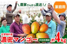 【2026年発送】ご家庭用！濃密マンゴー《家庭用・約4kg》農家さんより直送！ 家庭用 先行予約 沖縄 甘味 糖度 濃厚 おいしい お土産 まんごー アーウィン 果物 くだもの 果実 送料無料 ふるさと納税 ４キロ トロピカル 箱入り 食べ物 フルーツ