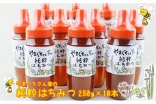 やまぐちさん家の純粋はちみつ〈250g×10本セット〉