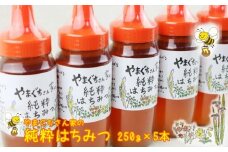 やまぐちさん家の純粋はちみつ〈250g×5本セット〉