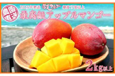 【2025年発送】最高級　常夏アップルマンゴー！糖度17度以上　2kg以上農園から直送 最高級 先行予約 沖縄 甘味 糖度 濃厚 美味しい お土産 おいしい ギフト とろける甘さ 香り アーウィン 果汁 プレミアム 箱入り 化粧箱入り 見た目 きれい 綺麗