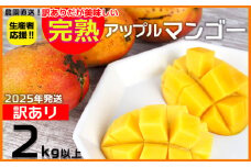 【2025年発送】生産者応援！！訳ありだが美味しい完熟アップルマンゴー2kg以上　農園直送！ 訳アリ 先行予約 沖縄 甘味 糖度 濃厚 美味しい 自分用 おいしい ふるさと納税 とろける甘さ 香り アーウィン 果汁 送料無料 箱入り トロピカル フードロス わけあり ２キロ