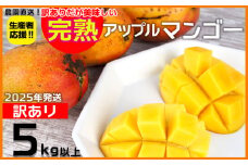 【2025年発送】生産者応援！！訳ありだが美味しい完熟アップルマンゴー5kg以上　農園直送！ 訳アリ 先行予約 沖縄 甘味 糖度 濃厚 美味しい お取り寄せ おいしい ふるさと納税 とろける甘さ 香り アーウィン 果汁 送料無料 箱入り トロピカル フードロス わけあり ５キロ