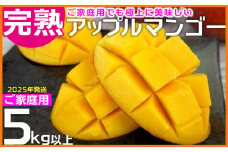 【2025年発送】ご家庭用でも極上に美味しい完熟アップルマンゴー5kg以上　農園直送！ 家庭用 先行予約 沖縄 甘味 糖度 濃厚 美味しい お土産 おいしい ふるさと納税 とろける甘さ 香り アーウィン 果汁 送料無料 箱入り トロピカル 普段使い お取り寄せ ご褒美