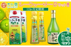 【定期】【大宜味村】シークヮーサーBセット12か月定期便