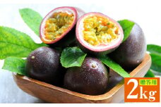 【2024年11月～発送】パッションフルーツ　約2kg（贈答用） フルーツ 果物 くだもの 果実 沖縄 大宜味村 食べ物 国産 ビタミン 沖縄県産 産地直送 ギフト プレゼント トロピカル 送料無料 贈答用 スイーツ お取り寄せ デザート パッション