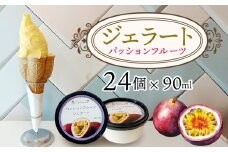 ジェラート（パッションフルーツ）90ml×24個 パッション パッションフルーツ アイス 贈り物 ギフト 出産内祝い 誕生日 贈答用 プレゼント バースデー お祝い 内祝い 人気 お取り寄せ 送料無料 甘味 スイーツ 冷たいもの あいす とろける