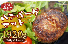 【美ら島あぐー】ハンバーグ4個入り　1920g（480g×4パック） 合計16個 あぐー 黄金比率 沖縄 大宜味村 豚肉 小分け 国産 おつまみ こだわり ぶた アグー 加工品 おいしい 美味しい 取り寄せ 肉 豚 冷凍 まろやか 旨味