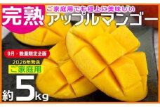 【9月・数量限定企画】【2026年発送】ご家庭用でも極上に美味しい完熟アップルマンゴー約5kg　農園直送！ 家庭用 先行予約 沖縄 甘味 糖度 濃厚 美味しい お土産 おいしい ふるさと納税 とろける甘さ 香り アーウィン 果汁 送料無料 箱入り トロピカル 普段使い お取り寄せ ご褒美