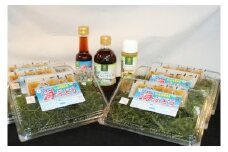 海ぶどうセットB（ポン酢＆ドレッシング付き）