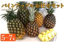 東村産パインアップルお任せセット2（5～7玉）【2026年発送】 パイン パインアップル パイナップル ボゴール ゴールドバレル ピーチパイン サンドルチェ ホワイトココ セット おまかせ 生産量日本一 国産 国産パイン ジューシー 南国 トロピカル 予約 先行予約 沖縄 東村