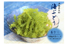 海ぶどう茎なしセット（ポンズ1本付き）