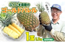 ゴールドバレル【パインアップル】(1玉）約1.7kg　ふくしま農園の自信作！◆2026年発送◆ ゴールドバレル パイナップル 高品質 新鮮 ジューシー 希少 高い糖度 大玉 甘い トロピカル パイン 生産量日本一 高級フルーツ 南国フルーツ 国産フルーツ 完熟 福島 農家直送 沖縄 東村

