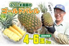 ゴールドバレル【パインアップル】(4～6玉）約9kg　ふくしま農園の自信作！◆2026年発送◆ ゴールドバレル パイナップル 高品質 新鮮 ジューシー 希少 高い糖度 大玉 甘い トロピカル パイン 生産量日本一 高級フルーツ 南国フルーツ 国産フルーツ 完熟 福島 農家直送 沖縄 東村
