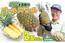 ゴールドバレル【パインアップル】(2玉）約3.5kg　ふくしま農園の自信作！◆2026年発送◆ ゴールドバレル パイナップル 高品質 新鮮 ジューシー 希少 高い糖度 大玉 甘い トロピカル パイン 生産量日本一 高級フルーツ 南国フルーツ 国産フルーツ 完熟 福島 農家直送 沖縄 東村