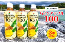JAおきなわ　パインアップル100（PET500ml）3本セット パインアップル パイナップル ぱいなっぷる パイン パインジュース ぱいん 安心 甘酸っぱい パインストレート ソーダ割 南国フルーツ 爽やか 果汁100 濃厚 甘味料無添加 保存料無添加 香料無添加 着色料無添加 東村 沖縄