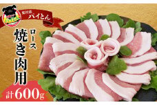 【沖縄アグー豚】東村産　パイとん　焼き肉用（ロース／600g） あぐー あぐー肉 アグー アグー肉 豚肉 パイとん 焼肉 豚焼肉 ブランド豚 ロース肉 豚ロース パイン パイナップル パインアップル 脂身 しょうが焼き 肉野菜炒め 豚しゃぶ 沖縄 東村