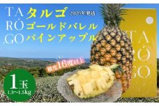 TARUGO　贈答用ゴールドバレルパイン　1玉（1.3～1.5kg）2026年発送 糖度16度以上 パイン パインアップル パイナップル タルゴ タルゴゴールド 贈答用 化粧箱 贈り物 ゴールドバレル 国産パイン 甘い 香り 高品質 高級フルーツ 大玉 国産 やんばる 沖縄 東村