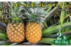 TARUGO　ゴールドバレルパイン　2玉（約2.5kg）2026年発送 糖度14度以上 パイン パインアップル パイナップル タルゴ タルゴゴールド トロピカル 希少 ごーるどばれる ゴールドバレル 国産パイン 甘い 香り 高品 高級フルーツ 大玉 国産 やんばる 沖縄 東村