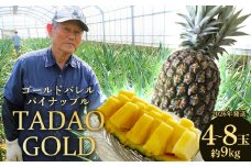 TADAO GOLD　4～8玉　約9kg（多冠芽含む）【ゴールドバレル】2026年発送 ゴールドバレル パインアップル タダオゴールド たまき ただお 逸品 パイン職人 最高級 国産パイン パイナップル パイン 匠 高級フルーツ 南国フルーツ 特別 希少 玉城忠男 農家直送 沖縄 東村