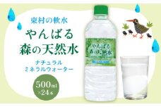 東村の軟水【やんばる 森の天然水】ナチュラルミネラルウォーター　500ml×24本 天然水 ミネラルウォーター 水 ソフトドリンク 飲料水 軟水 東村の水 天然水 お水 ヤンバルの水 やんばる ヤンバル ペットボトル 500ml 防災 国産 長期保存 備蓄 沖縄 東村
