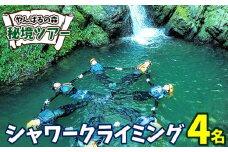 やんばるの森　秘境ツアー【シャワークライミング】4名様 やんばる アドベンチャー 秘境 探検 冒険 大自然 カヤック 沢のぼり 川遊び 滝つぼ遊び やんばる国立公園 亜熱帯 ジャングル ガイド付き 手軽に参加 非日常 特別 ヤンバルエクスペリエンス やんばる観光 東村