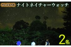 やんばるの森　ナイトネイチャーウォッチ　2名様 やんばる ナイトツアー アドベンチャー 冒険 探検 満天の星空 夜の森 ガイド付き 世界自然遺産 希少生物 やんばる国立公園 亜熱帯 ジャングル 安心 手軽に参加 非日常 特別 ヤンバルエクスペリエンス やんばる観光 東村