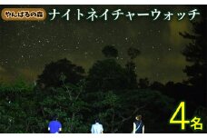 やんばるの森　ナイトネイチャーウォッチ　4名様 やんばる ナイトツアー アドベンチャー 冒険 探検 満天の星空 夜の森 ガイド付き 世界自然遺産 希少生物 やんばる国立公園 亜熱帯 ジャングル 安心 手軽に参加 非日常 特別 ヤンバルエクスペリエンス やんばる観光 東村