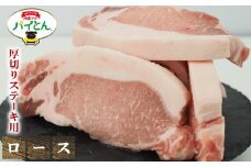 アグー豚　パイとん　厚切りステーキ用【ロース】600g あぐー アグー あぐー豚肉 アグー肉 ロース肉 パイとん 真空パック 選べる ブランド豚 パイン ステーキ 肉巻き 豚汁 沖縄北斗 とんかつ 沖縄の豚肉 ヤンバル やんばる 沖縄 東村