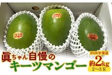 眞ちゃん自慢のキーツマンゴー　約2kg（2～3玉）2026年発送 甘い キーツマンゴー 濃厚 マンゴー トロピカル 農家直送 希少 デザート フルーツ キーツ あまい おいしい ジューシー 南国 高級 まんごー 沖縄 国産マンゴー 沖縄県 東村