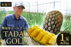 TADAO GOLD　家庭用（無冠芽）1玉　約2kg【ゴールドバレル】2026年発送 ゴールドバレル パインアップル タダオゴールド たまき ただお 逸品 パイン職人 パイナップル 国産パイン 家庭用 パイン 匠 高級フルーツ 南国フルーツ 特別 希少 玉城忠男 農家直送 沖縄 東村