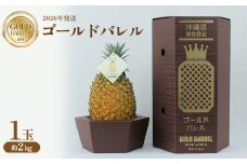 東村産 ゴールドバレルパイン1（1玉・約2kg）【2026年発送】 ゴールドバレル パインアップル パイナップル パイン 国産パイン 国産 生産量日本一 ゴールドバレルパイン 甘い おいしい 希少 バレル 人気 ジューシー 南国 トロピカル 予約 先行予約 沖縄 東村