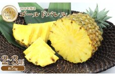 東村産 ゴールドバレルパイン2（2～3玉・約5kg）【2026年発送】 ゴールドバレル パインアップル パイナップル パイン 国産パイン 国産 生産量日本一 ゴールドバレルパイン 甘い おいしい 希少 バレル 人気 ジューシー 南国 トロピカル 予約 先行予約 沖縄 東村