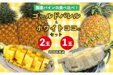 国産パインの食べ比べ！ゴールドバレル（2玉）&ホワイトココ（1玉）セット【2026年発送】 パイン パインアップル パイナップル ゴールドバレル ホワイトココ 数量限定 食べ比べ お試し ジューシー 希少 生産量日本一 国産 国産パイン おいしい 南国 トロピカル 予約 先行予約 沖縄 東村