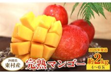 東村産完熟マンゴー　約2kg（4～6玉）2026年発送 甘い 芳醇 完熟 マンゴー トロピカル 農家直送 夏 デザート フルーツ アーウィン あまい おいしい ジューシー 南国 高級 まんごー 沖縄 国産マンゴー 沖縄県 東村